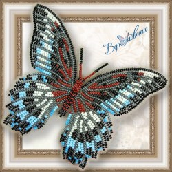 Вышивка бабочка Парусник Полимнестор