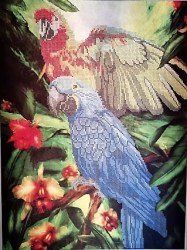 Вышивка Попугаи бисером Пижоны джунглей.