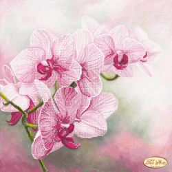 Гармония орхидеи вышивка.