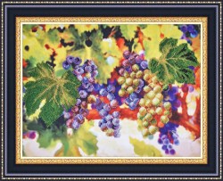 Виноградные гроздья вышивка.